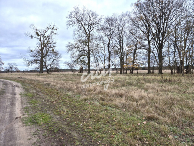 Działka Sprzedaż Łęgi 2